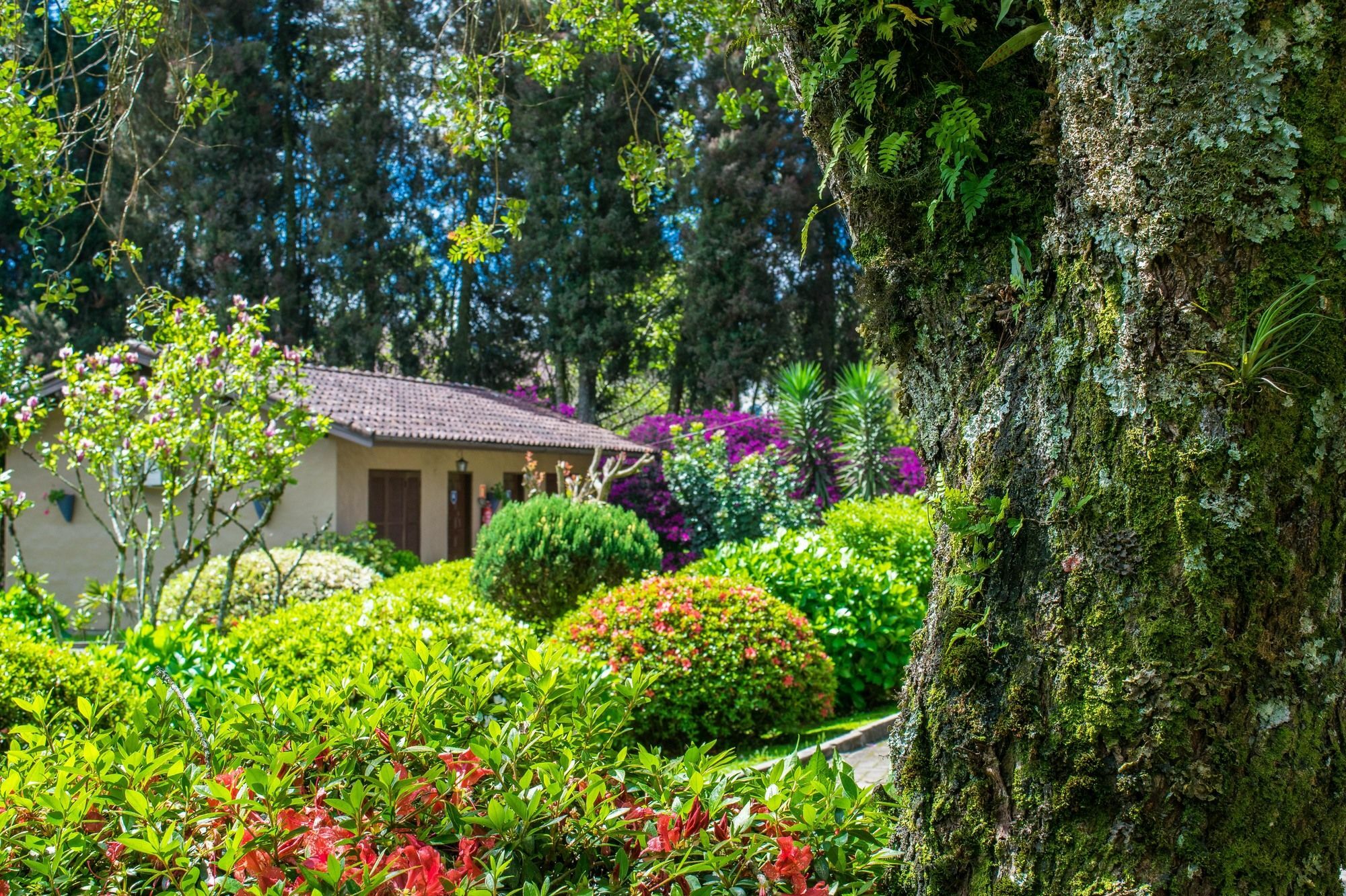 Hotel Fioreze Quero Quero Gramado Exterior foto